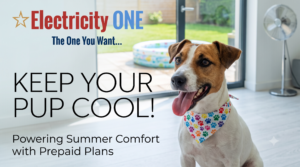 Beat the Texas Heat: Pawsome Ways to Keep Your Pup Cool Without Burning Through Cash