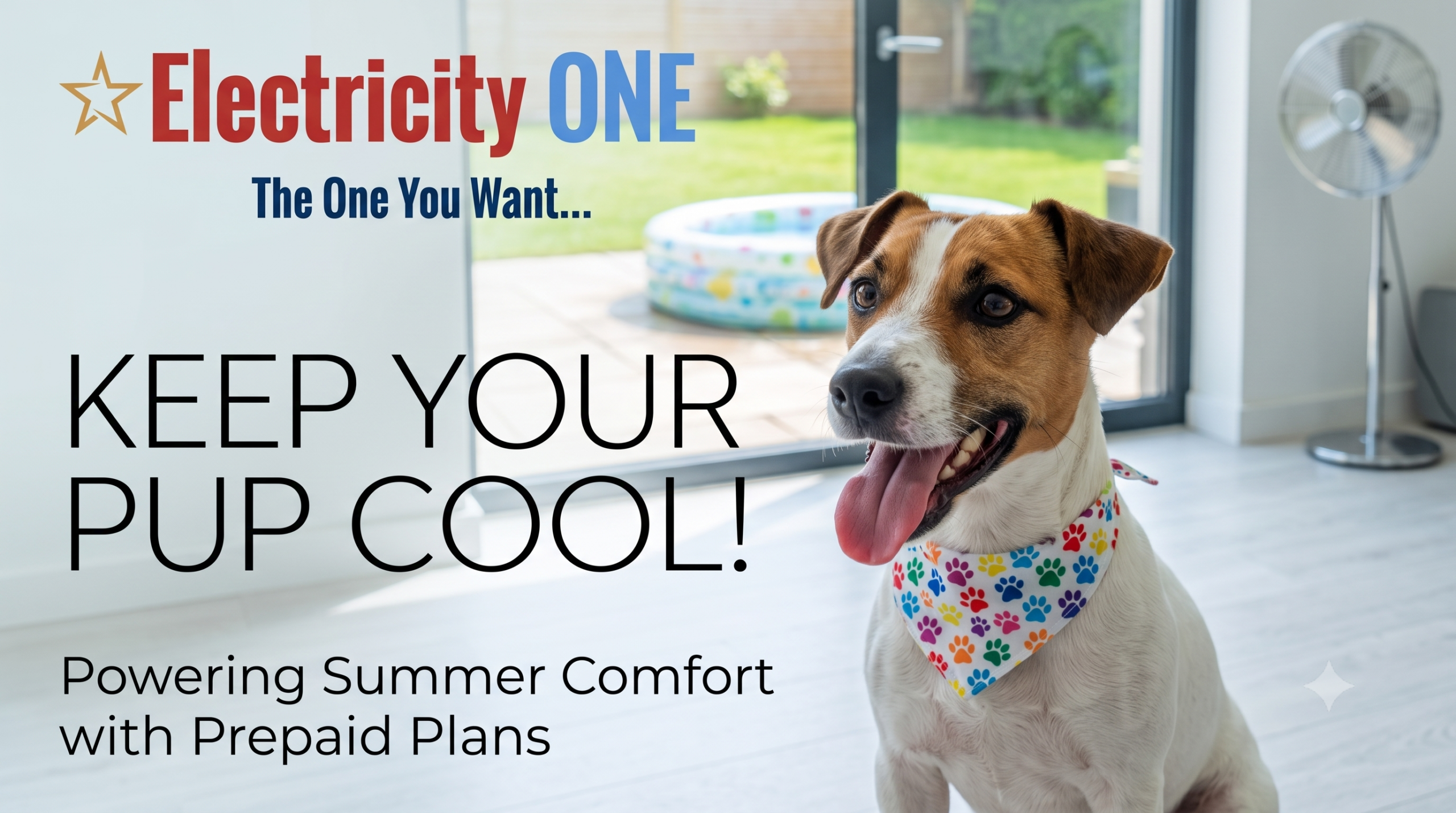 Beat the Texas Heat: Pawsome Ways to Keep Your Pup Cool Without Burning Through Cash