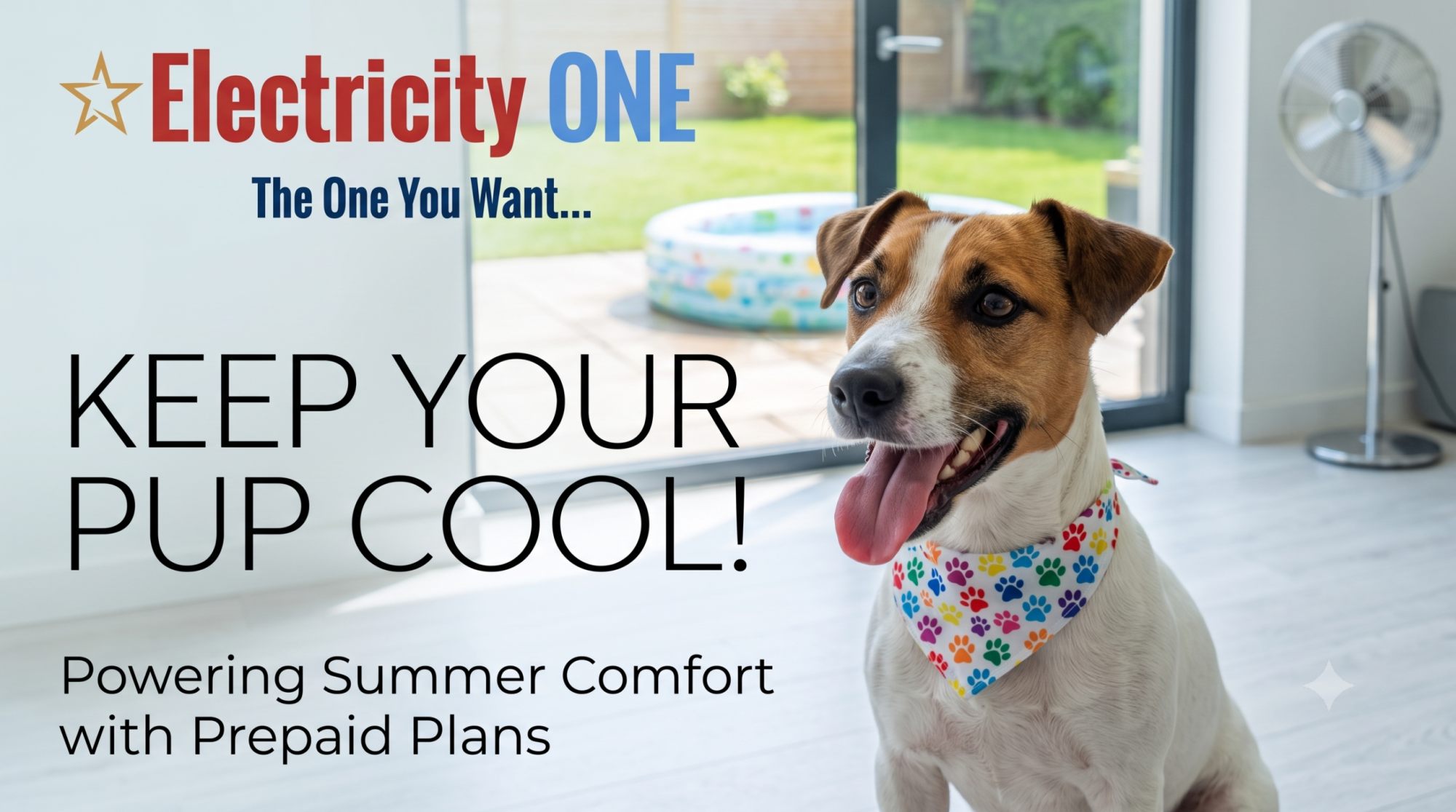 Beat the Texas Heat: Pawsome Ways to Keep Your Pup Cool Without Burning Through Cash